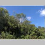 10Boca De Yuma_0294.JPG